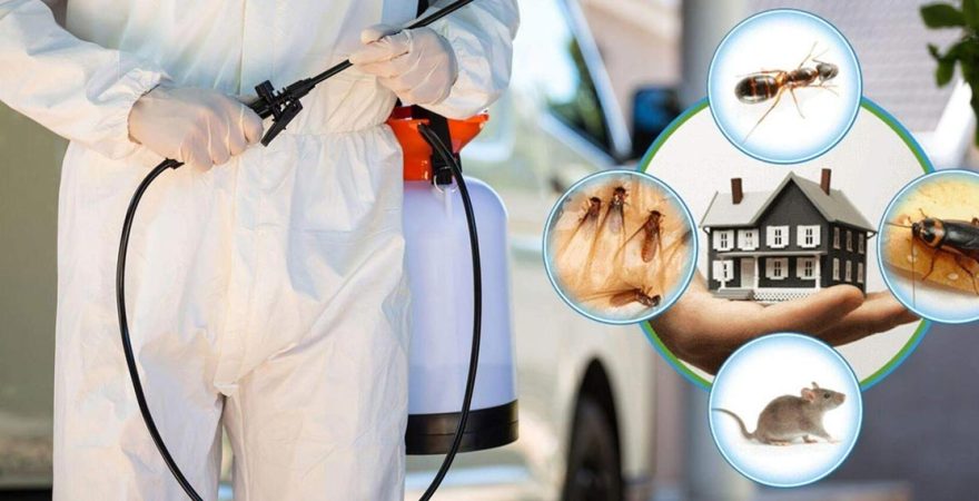 Ergene Böcek İlaçlama