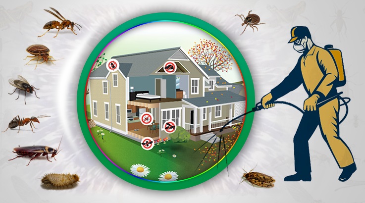 Ergene Böcek İlaçlama