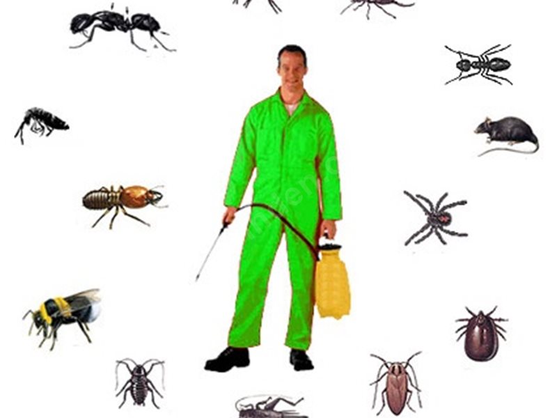 Ergene Böcek İlaçlama